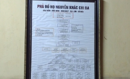 Ninh Hiệp - Gia Lâm: Thủ đoạn biến đất không tranh chấp thành đất tranh chấp